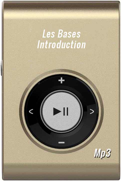 Base - Introduction